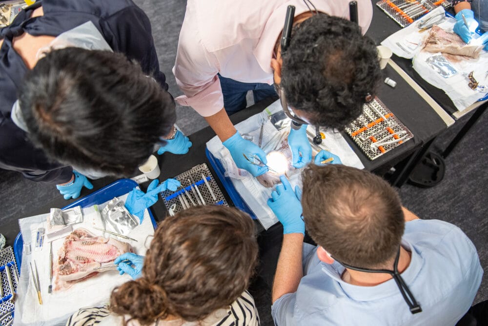 A unique experience to learn from masters in the field