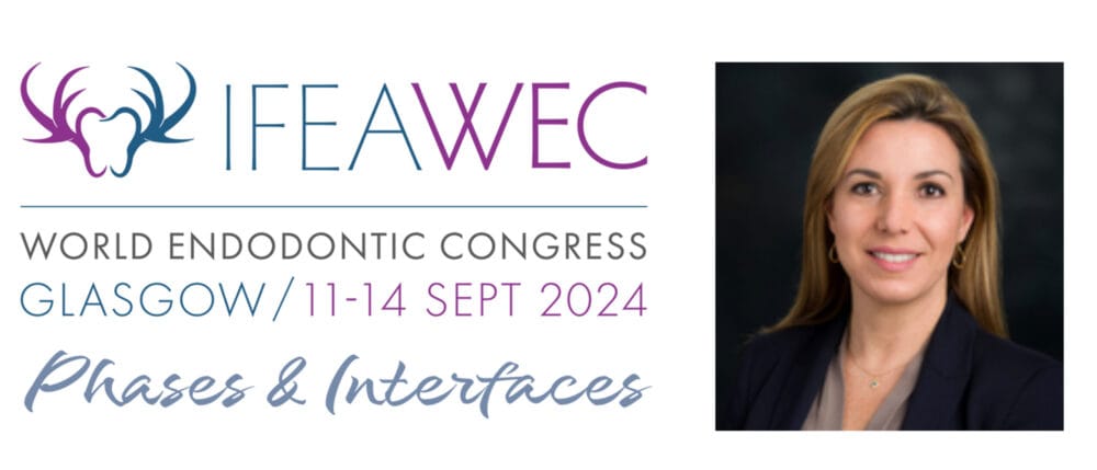 Unravelling the connection at IFEA WEC