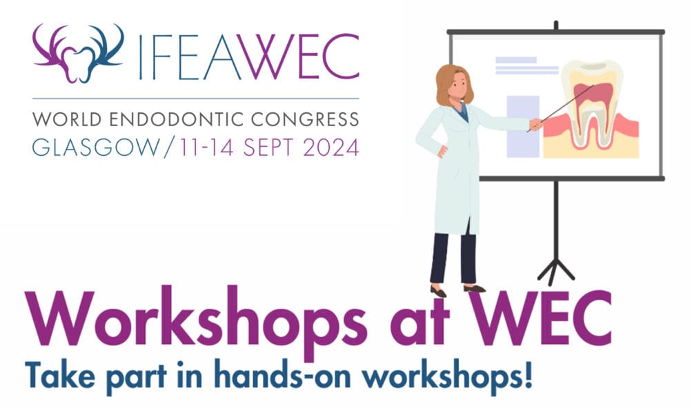 Hands-on workshops at IFEA WEC