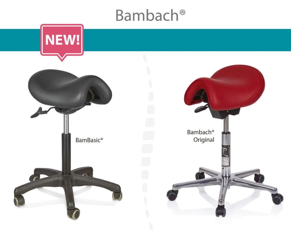 Back pain? We have something for it – The Bambach® Saddle Seat