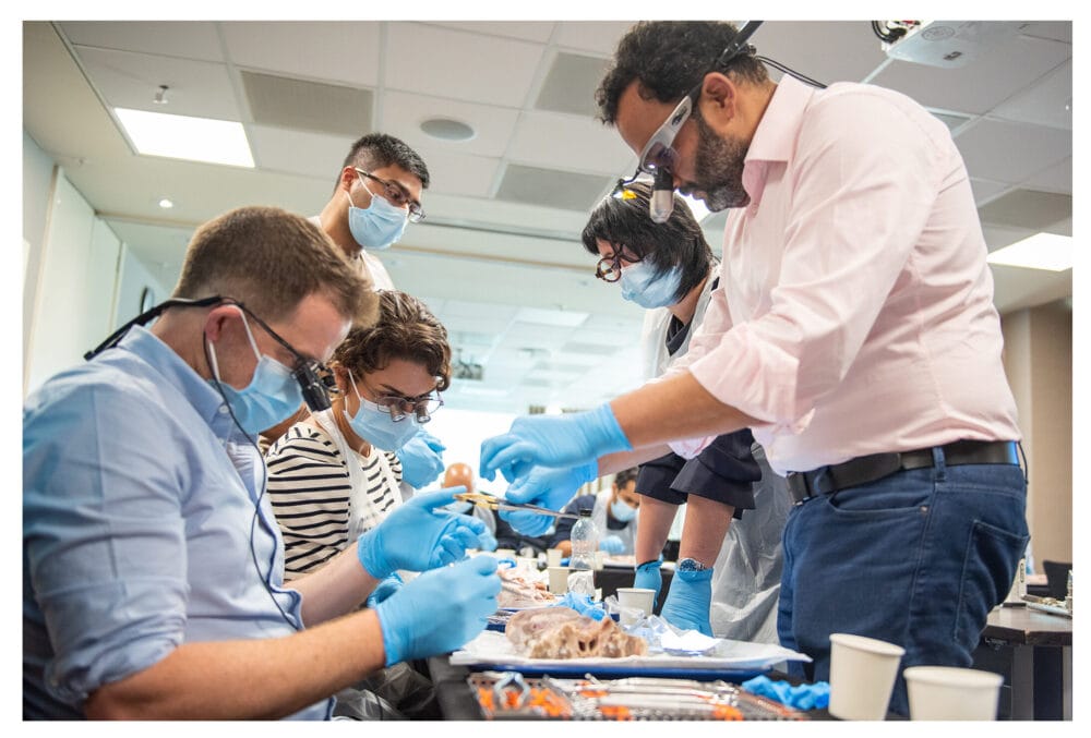Advanced Horizontal & Vertical Augmentation Course