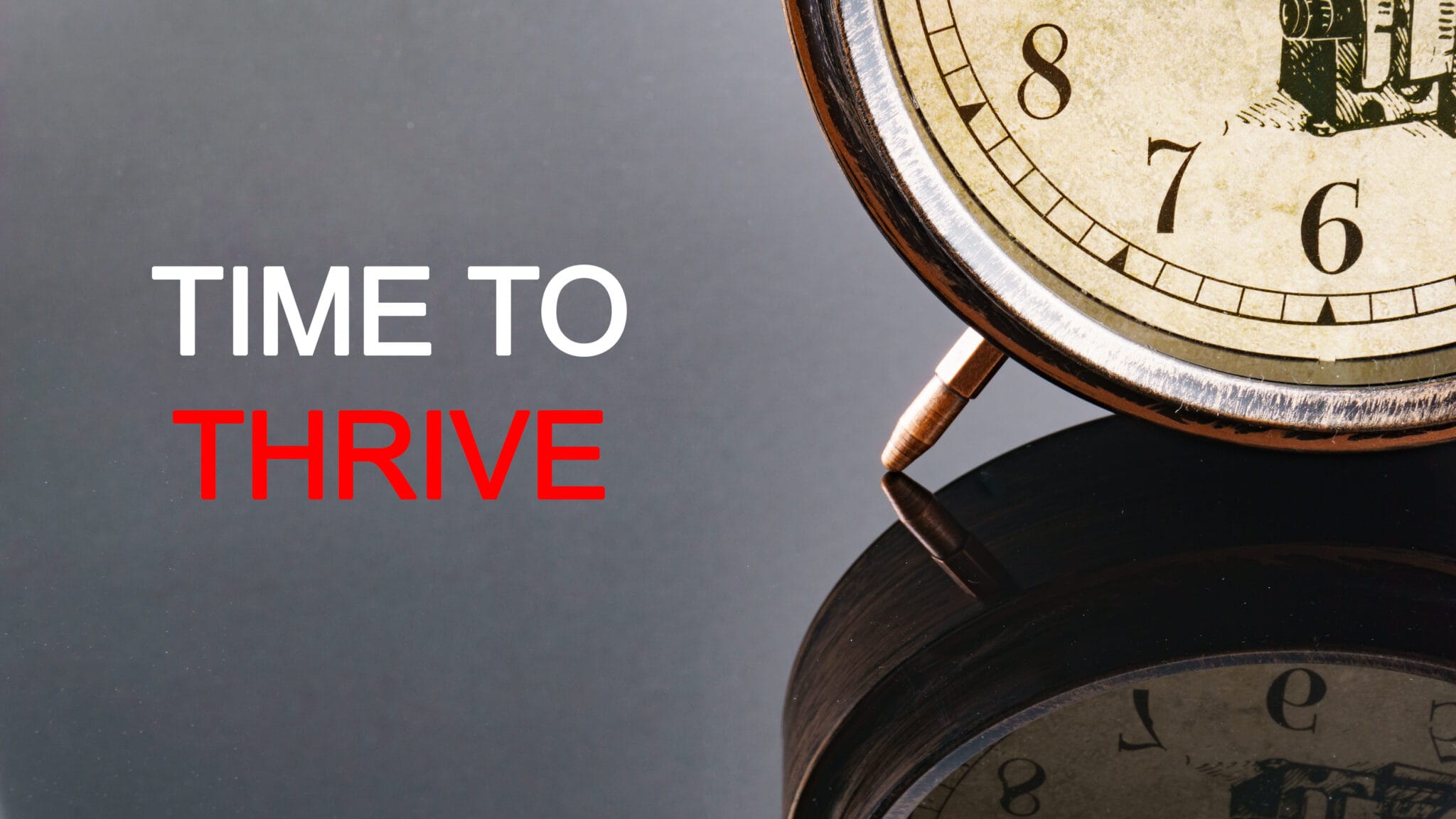 A career you can really thrive in - The Probe