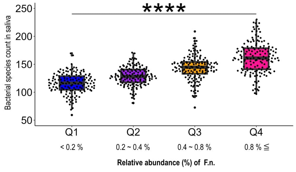 New Study links Fusobacterium nucleatum to microbiome imbalance and periodontal disease