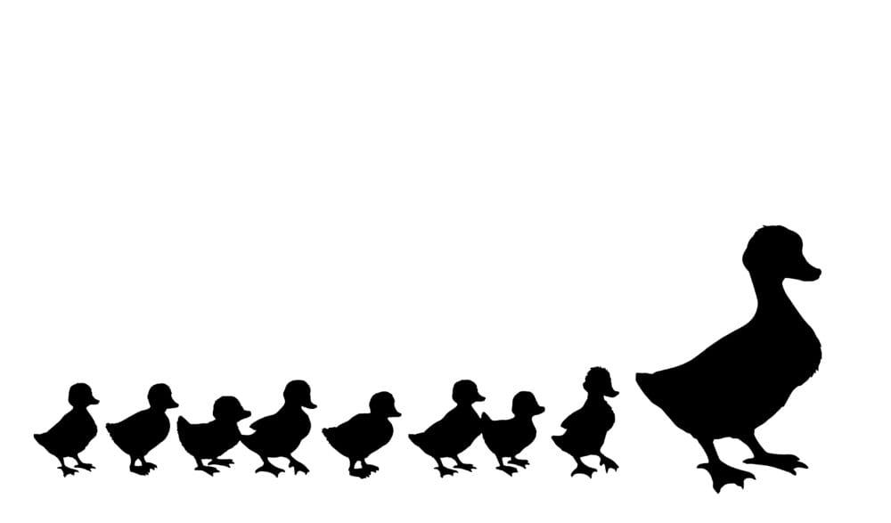 What actions do you need to take in 2025 to work towards a successful sale?