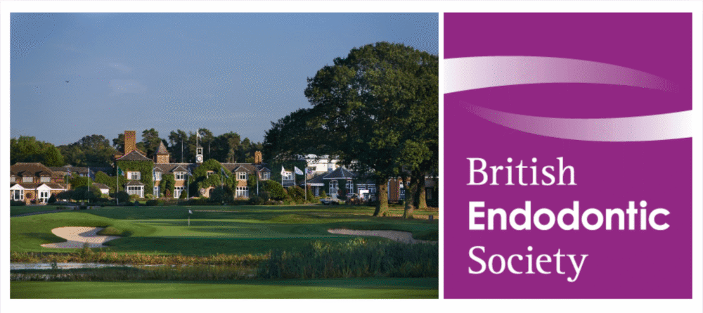 Immerse yourself in endodontic education