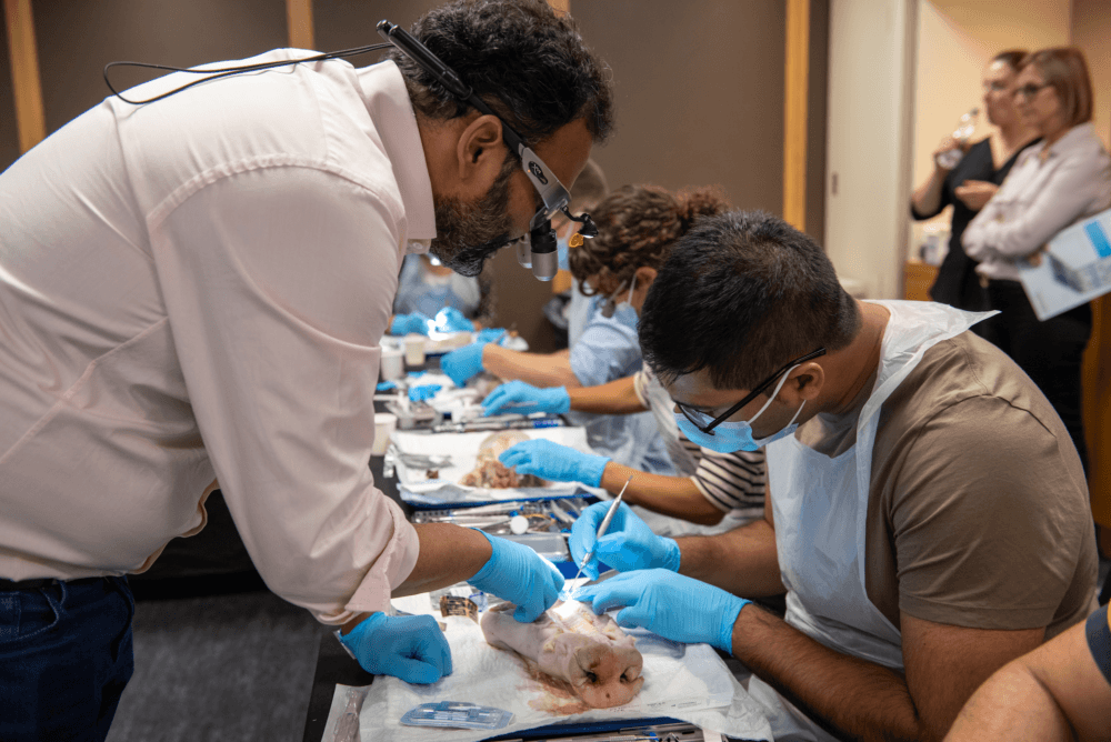 The business of implantology