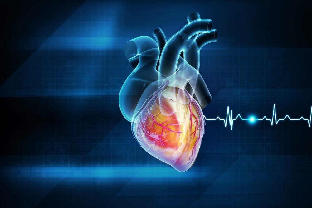 Putting heart into dentistry