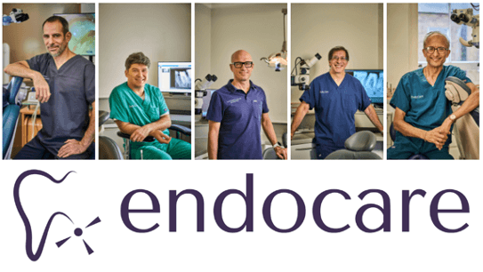 “I wholeheartedly recommend EndoCare”