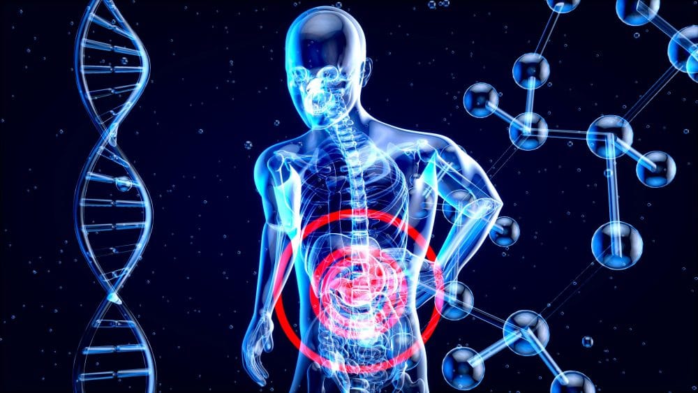 From mouth to gut – the pathogenic connection