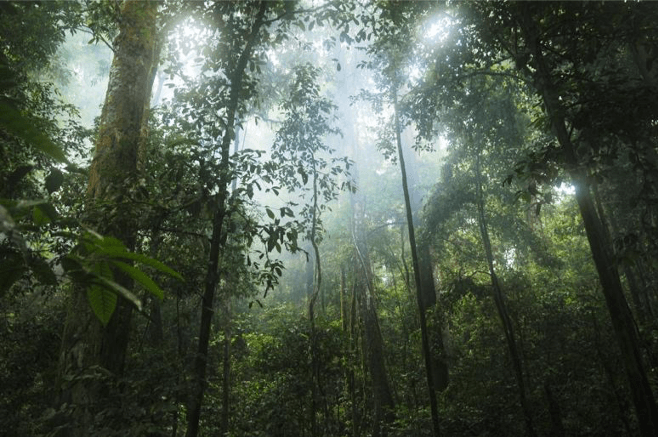 Putting sustainability at the heart of business success