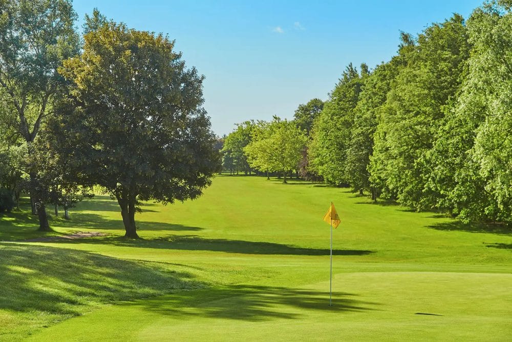 Dentists invited to tee off for a great cause